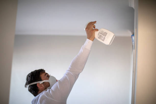 Best Toxic Mold Removal  in Homosassa, FL