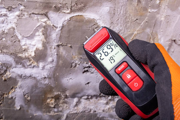 Crawl Space Mold Removal in Homosassa, FL
