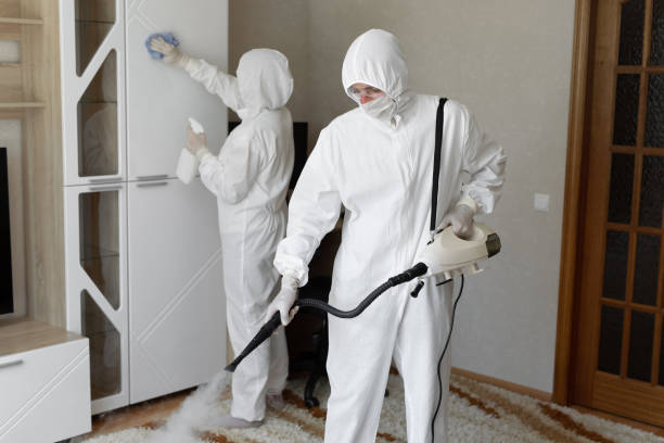 Mold Testing and Removal in Homosassa, FL