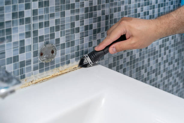 Best Mold Cleaning Services  in Homosassa, FL